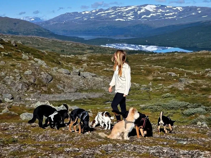 Laura Wansink with dogs in a mountain landscape.